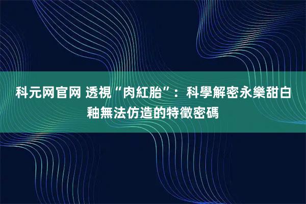 科元网官网 透視“肉紅胎”:科學解密永樂甜白釉無法仿造的特徵密碼
